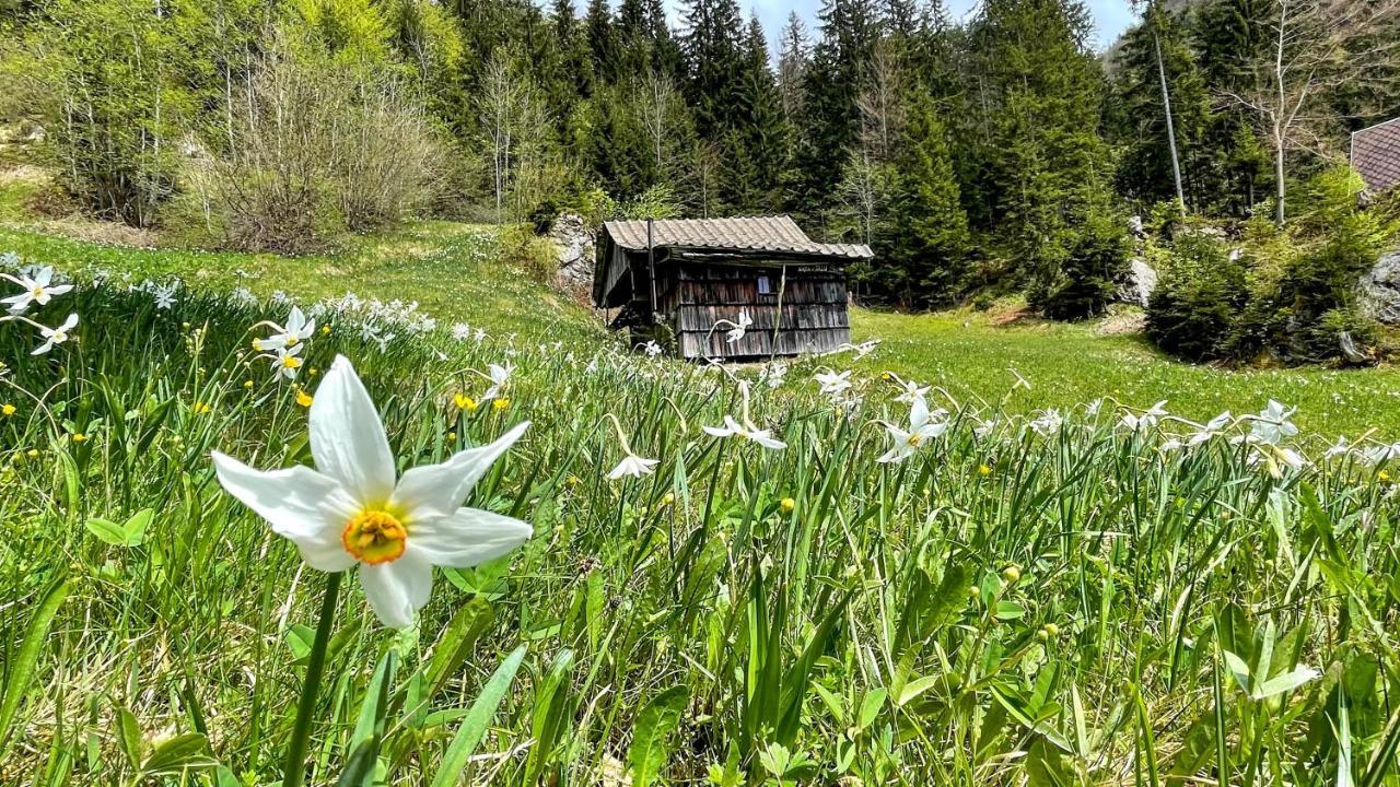 Dwarfs Cabin Overlooking Julian Alps Near Bled Jesenice Exterior foto